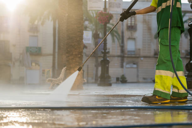 Best House Exterior Washing  in Onarga, IL